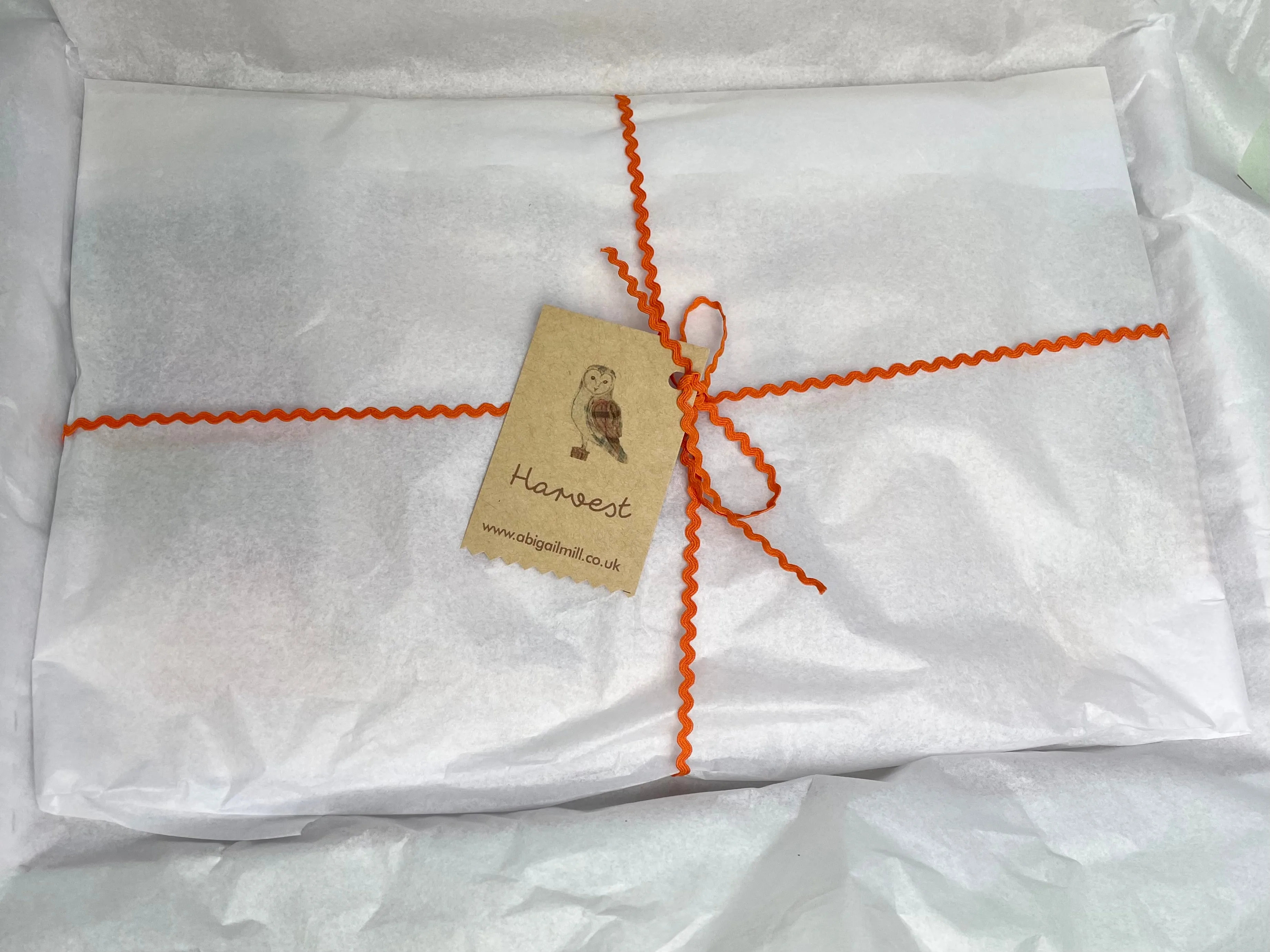 Barn Owl Sewing kit