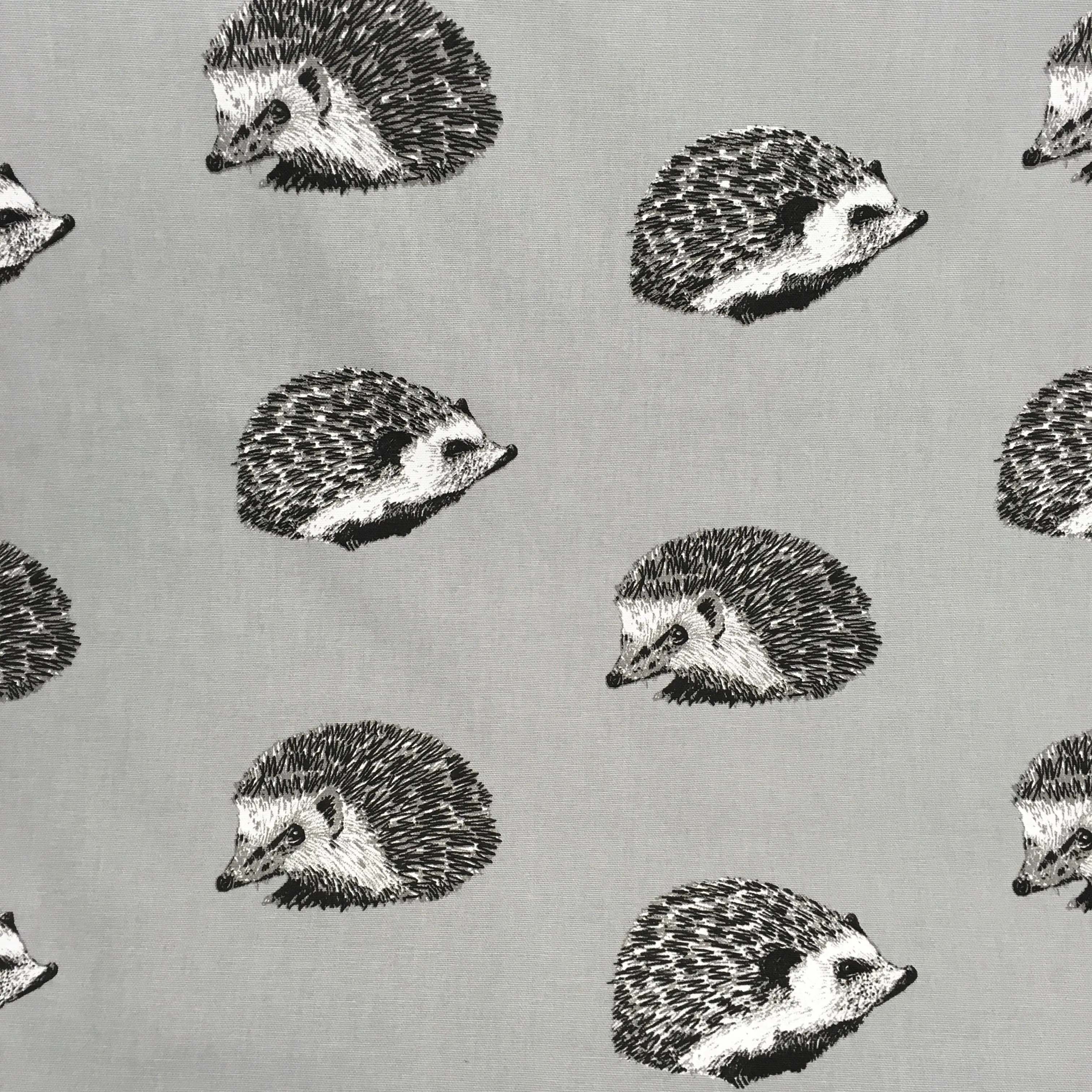 Flint Hedgehog