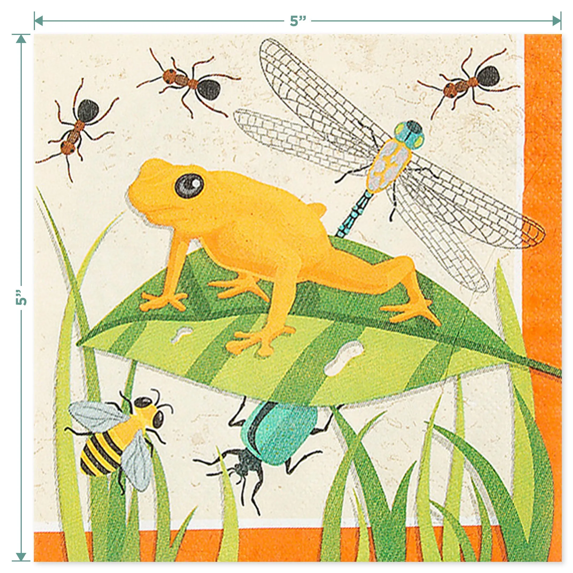Insect Party Supplies - Backyard Bug Party Round Paper Dessert Plates and Beverage Napkins (Serves 16)