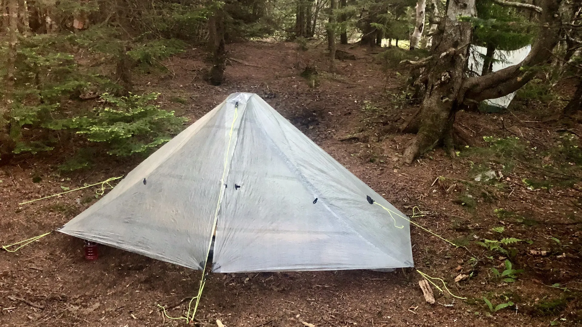 Plexamid Tent DISC