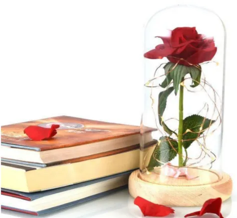 Rose in a glass dome