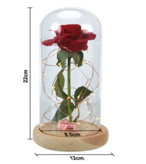 Rose in a glass dome